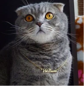 Why give a personalized gift? My Little Necklace Explains it All